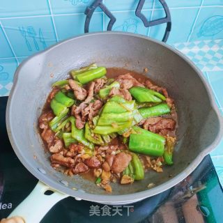 肉片烧辣椒的做法步骤：13