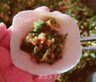 鲜肉香菜水饺的做法步骤：8