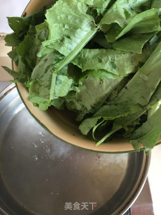 白灼凤尾菜的做法步骤：4