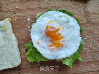 红虾煎蛋三明治的做法步骤：7