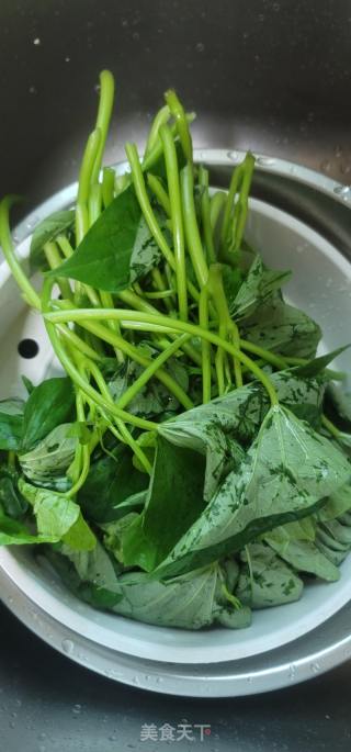 豆豉蒜末炒番薯叶的做法步骤：2
