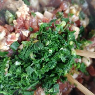 车前草肉丁南瓜包的做法步骤：14
