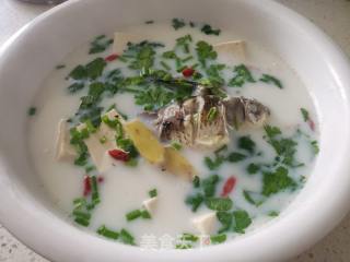 牛奶鲫鱼豆腐汤的做法步骤：11