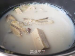 牛奶鲫鱼豆腐汤的做法步骤：10