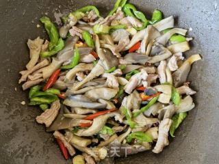 螺丝椒平菇炒肉丝的做法步骤：14