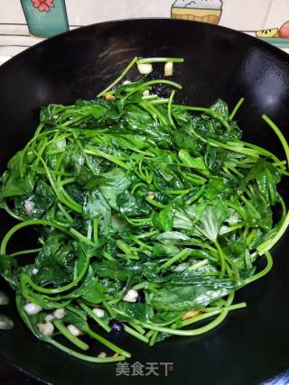 豆豉蒜蓉番薯叶的做法步骤：7