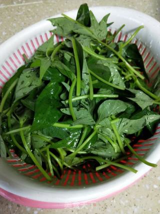 豆豉蒜蓉番薯叶的做法步骤：2