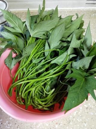 豆豉蒜蓉番薯叶的做法步骤：1