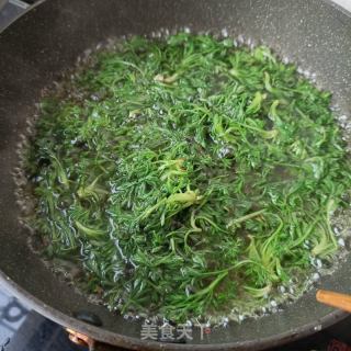茵陈煎蛋的做法步骤：3