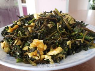 枸杞芽炒鸡蛋的做法步骤：8