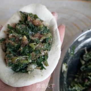 茵陈鲜肉包的做法步骤：16