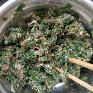 茵陈鲜肉包的做法步骤：11