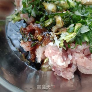 茵陈鲜肉包的做法步骤：9