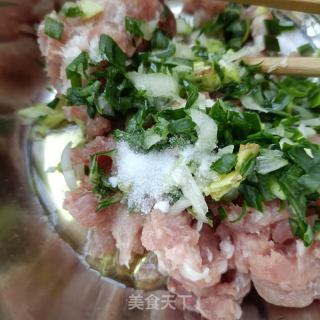 茵陈鲜肉包的做法步骤：8