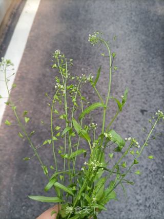 地米菜煮鸡蛋-三月三吃鸡蛋的做法步骤：1