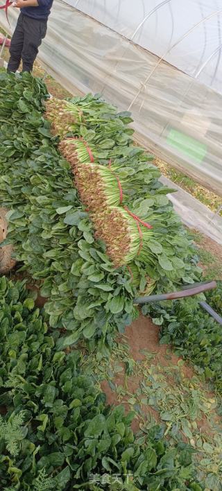 菜馍（菠菜菜团）的做法步骤：1
