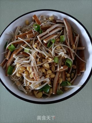香豆皮拌豆芽的做法步骤：14