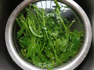 腊肉炒野辣菜的做法步骤：3