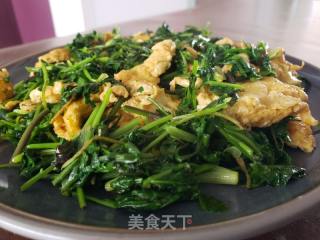 香菜炒鸡蛋的做法步骤：6