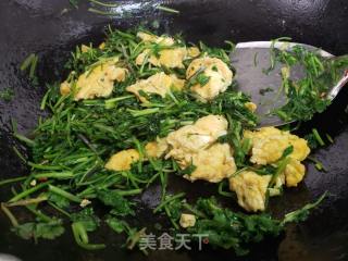 香菜炒鸡蛋的做法步骤：4