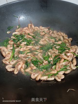 春韭炒河虾的做法步骤：8