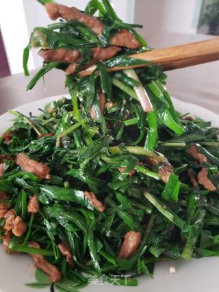 韭菜炒肉丝的做法步骤：7