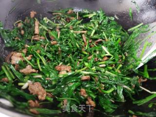 韭菜炒肉丝的做法步骤：5
