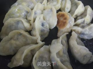 水煎饺的做法步骤：7