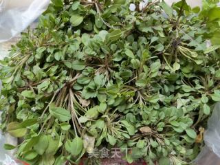 鸡肠草拌驴肉的做法步骤：1