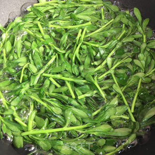 凉拌养心菜的做法步骤：5