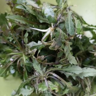 荠菜海虹滑蛋的做法步骤：5