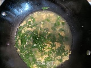 枸杞叶蛋花汤的做法步骤：7