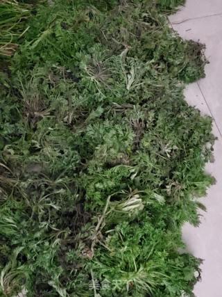 蒜苗炒白蒿的做法步骤：2