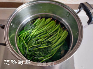 麻酱菠菜的做法步骤：6