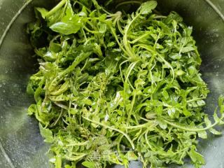 荞麦面蒸荠菜的做法步骤：2