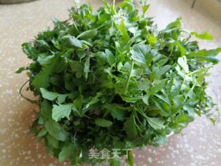 翡翠荠菜鲜肉饺的做法步骤：1