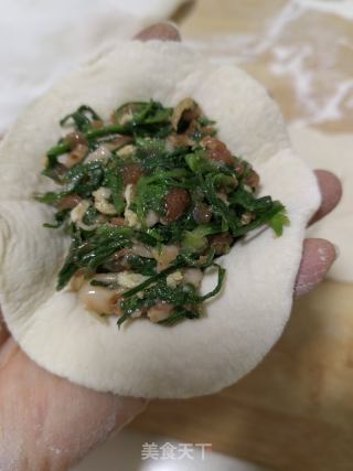 荠菜包子的做法步骤：14