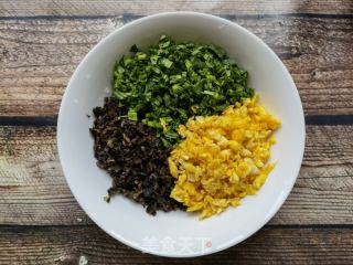 面条菜鸡蛋木耳素饺的做法步骤：11
