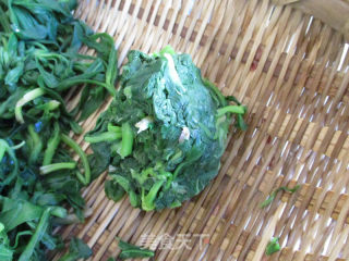 春笋野菜素包子的做法步骤：3