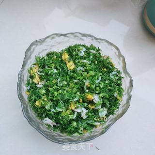 茴香虾皮鸡蛋包子的做法步骤：5