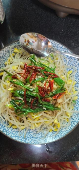 响油黄豆芽的做法步骤：5