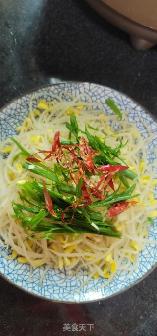 响油黄豆芽的做法步骤：4