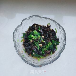 木耳拌菠菜的做法步骤：10