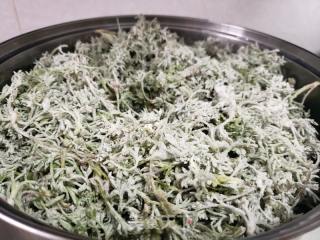 蒸白蒿的做法步骤：4