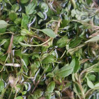 鸡肠草羊肉汤粉的做法步骤：7