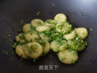 荠菜炒土豆疙瘩的做法步骤：13