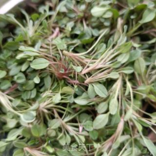 鸡肠草拌熏鸡肉的做法步骤：2