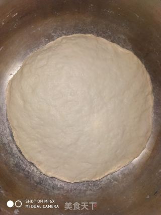 蒲公英的素饺子的做法步骤：8