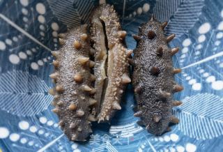 茼蒿木耳拌海参的做法步骤：2