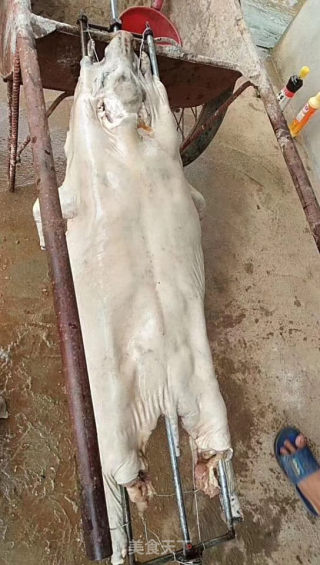 烤全猪的做法步骤：4